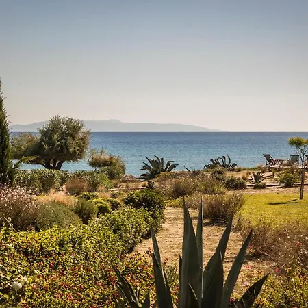 Votsalo Suite-grand Blue *